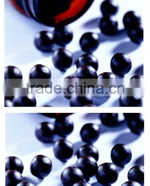 Factory Supply ZWJ-76 Chinese Herbal Pill Making Machine photo-3