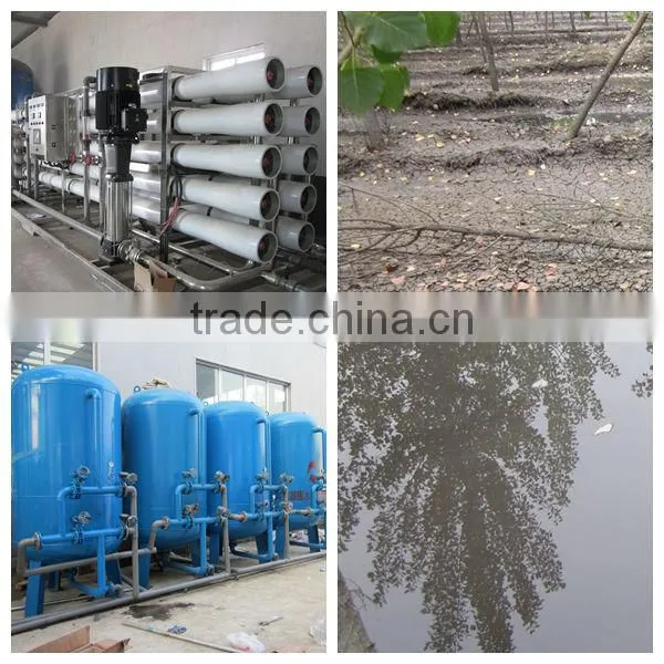 Professional Commercial Industrial Reverse Osmosis Purification