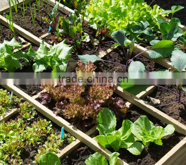 Garden Tool Weeder photo-6