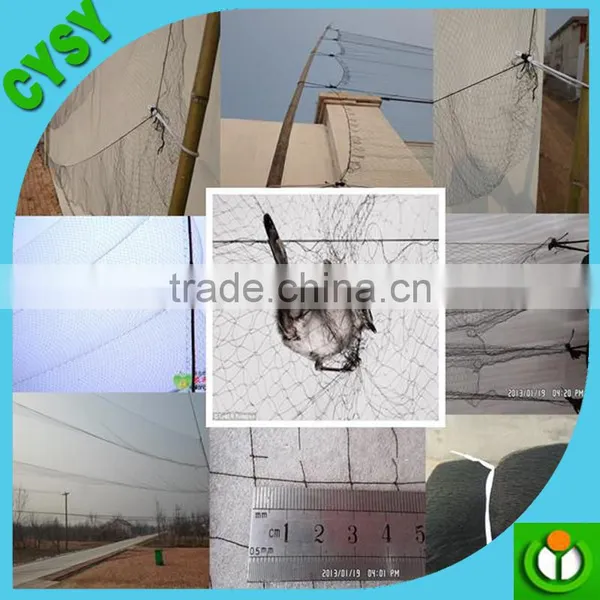 Agricultural Invisible Plastic Hdpe Bird Nett for Tree photo-6