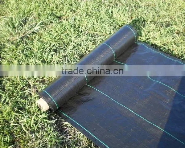 Pp/pe Woven Mesh Tree Weed Mat photo-4