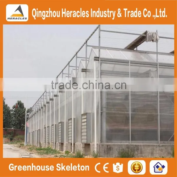 Heracles Trade Assurance Multispan Tunnel Greenhouse photo-2