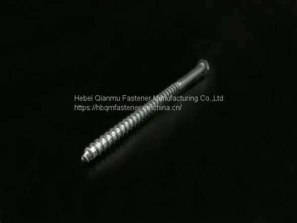 Handan Manufacturer High Quality HDG Hexagonal Head Wood Screw Tree Screw photo-4