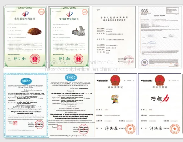 Cocoly Granular Water Soluble Fertilizer+TE photo-4
