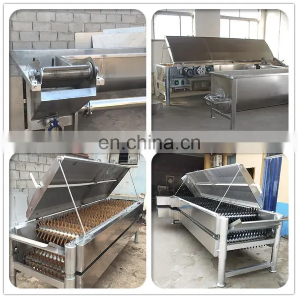 Poultry Chicken Slaughtering Equipment/halal Chicken Slaughtering Machine photo-7