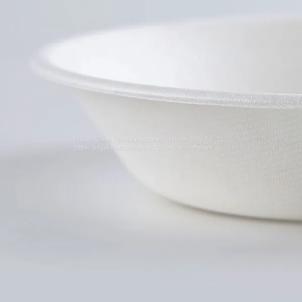 Disposable Biodegradable 7INCH Bowl Take Away Sugarcane photo-5