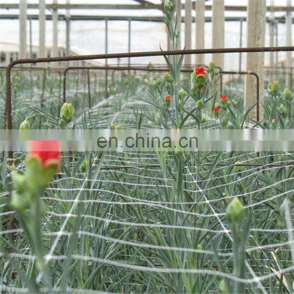 Extrude Strong Plant Support Climbing Fencing Trellis Netting photo-5