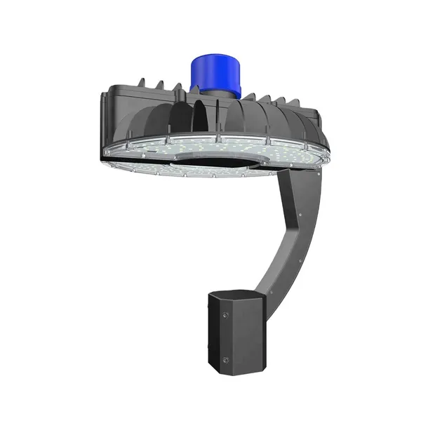Hishine 80w 100w 150w Intelligent Production Garden Lights Various Style Outdoor Lamp Garden Led Light photo-2
