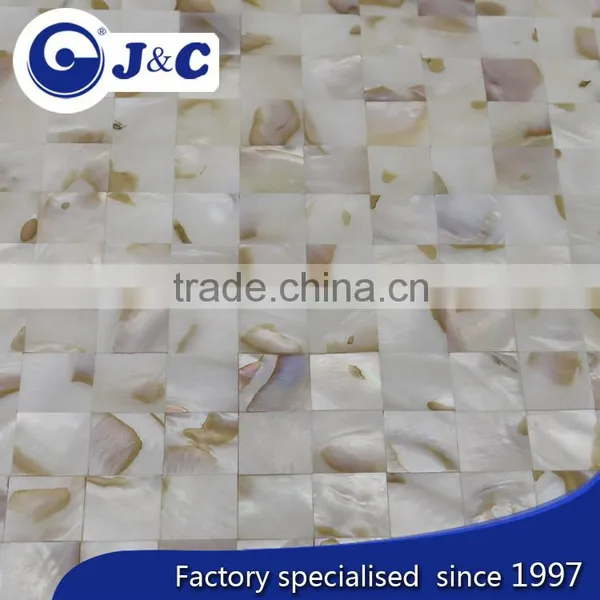 Natural Varicolored River Shell Mosaic photo-2