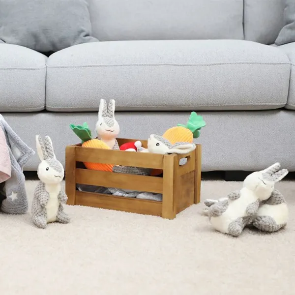 Rabbit photo-3