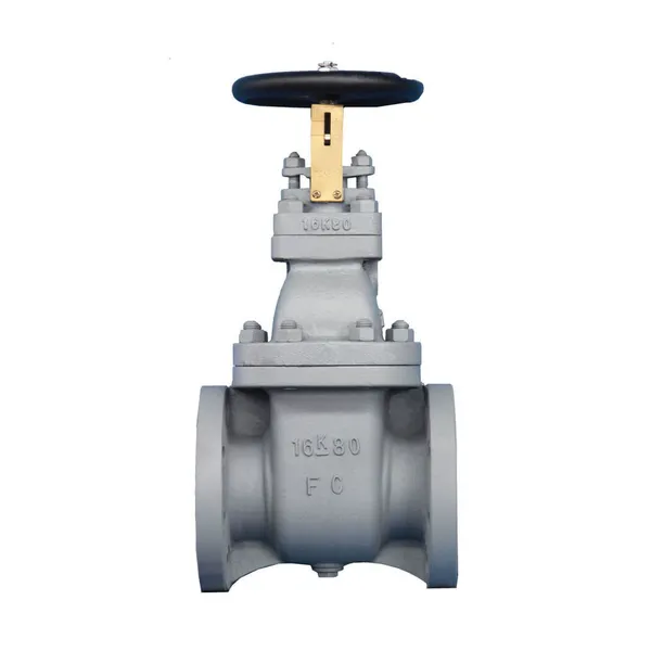 JIS B2031 Non-rising Gate Valve with Brass Wedge Ring and Graphite Gasket for Vessels