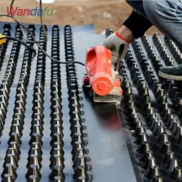 Wandafu Cost-effective Reservoir Airpoprt Artificial Lake Anti-seepage Plastic Drainage Board photo-5