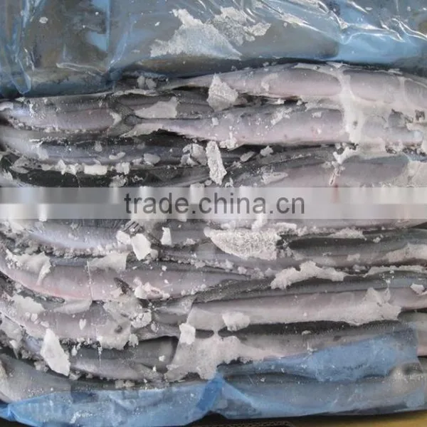 Seafrozen Pacific Saury wr photo-5