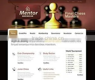 Custom Website Development