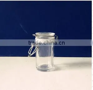 Mini Glass Jars for Spice Glass Spice Jars