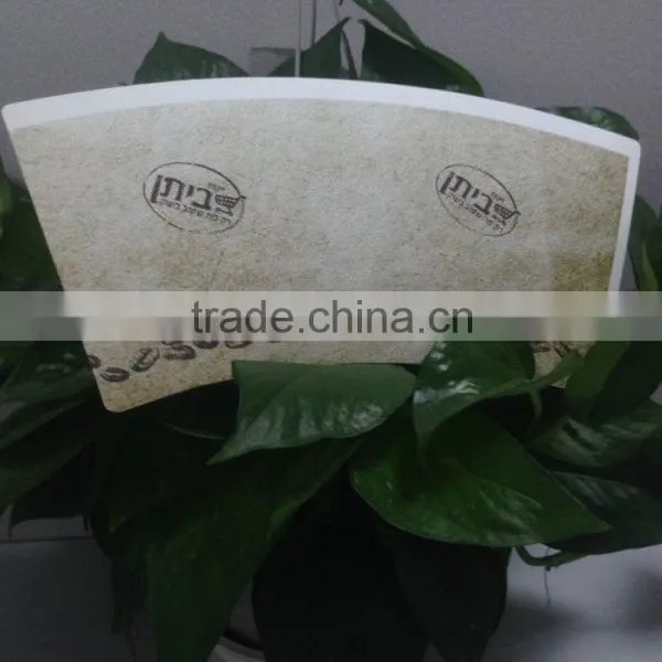 Food Grade Disposable Paper Cup Sheet With High Quality photo-6