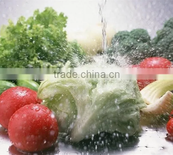 High Efficiency Best Quality Commercial Brush Vegetable Washer photo-6