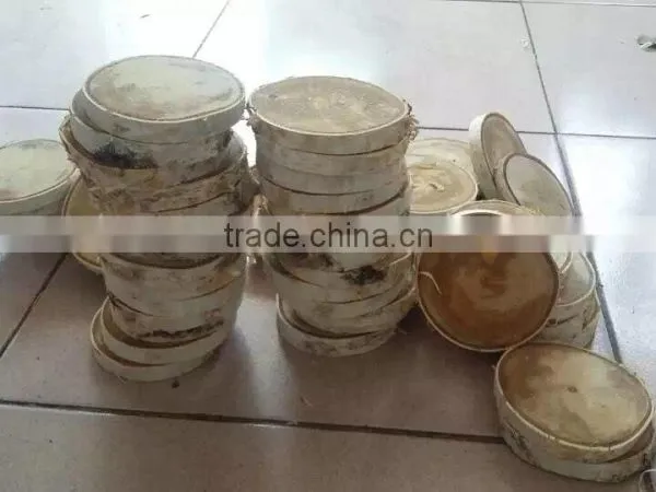 China Wholesale Birch Wood Log for Showcase Decoration