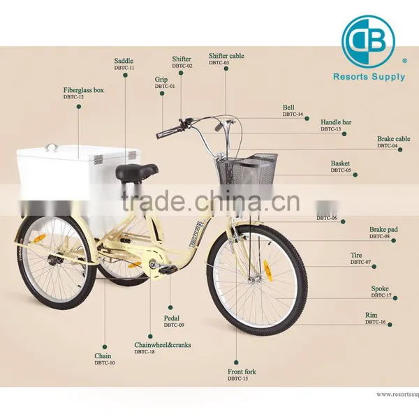 Aluminium Alloy Luxury Cargo Tricycle