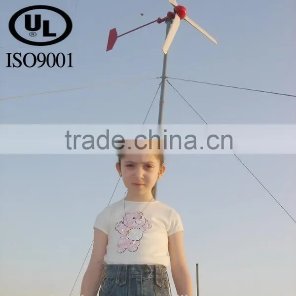 DC48V 2kw Wind Turbine Wind Generator for Home Residential Communication Station Monitoring Station photo-2