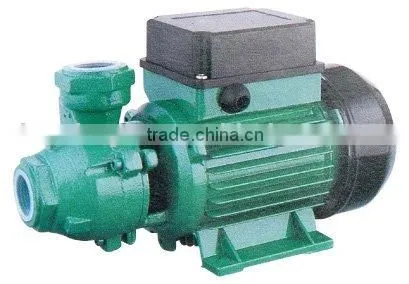 Vortex Pump
