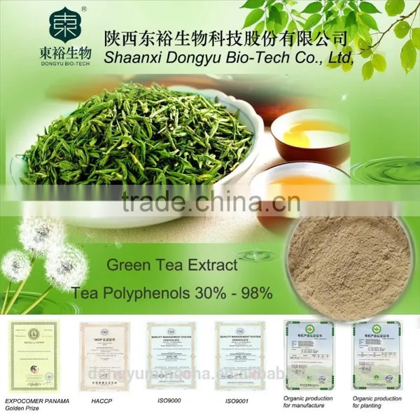 Organic Green Tea Extract for Food Supplements 98% /90%/ 80% Polyphenols photo-3