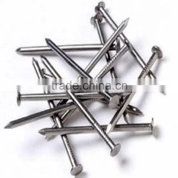 REAL FACTORY Common Iron Nails With Best Quality photo-3