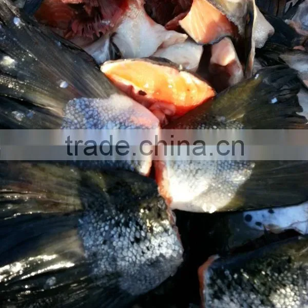 Salmon Tails photo-2