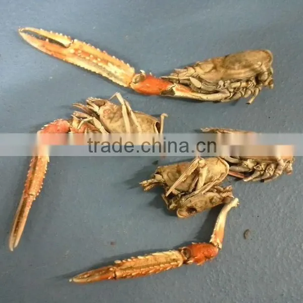 Lobster / Scampi Claws and Heads Dried