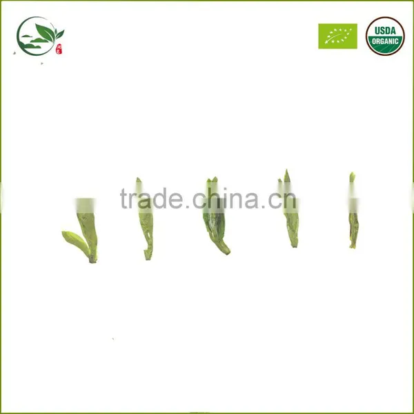 Organic Loose Leaf Tea Fat Burning Green Longjing Tea photo-2