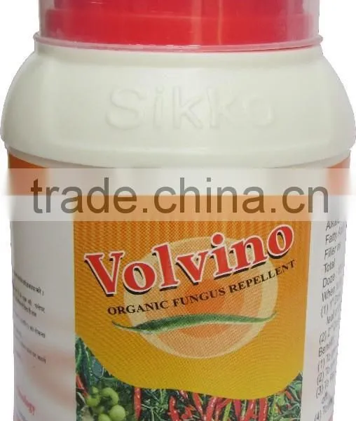 Volvino