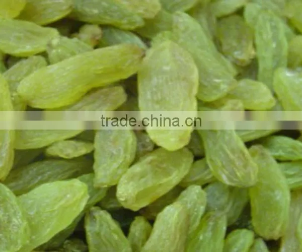 BEST QUALITY GREEN RAISIN FOR BEST RATE photo-3