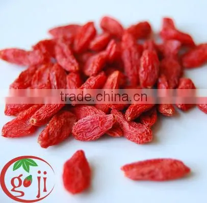 Free Pesticide Organic Goji Berries