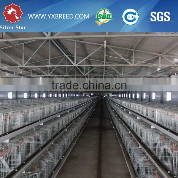 Hot Galvinized Metal Poultry Chicken Cages photo-4