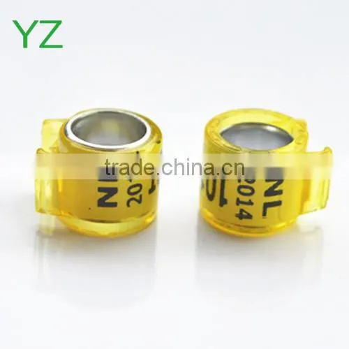 2015 Newest Dutch Pigeon Ring For Sale By YZ Factory EXW Price photo-3