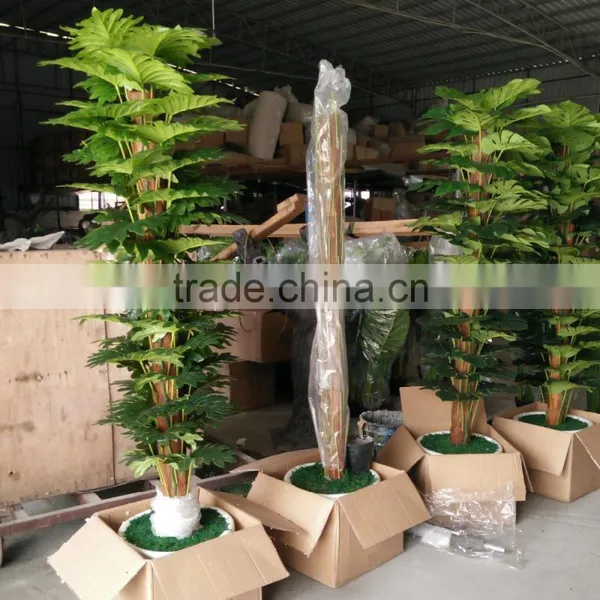Decorative Artificial Plants Green Plants Wholesale photo-4