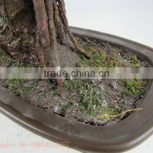 Miniascape,potted Evergreen Landscape,shapped Bonsai photo-5
