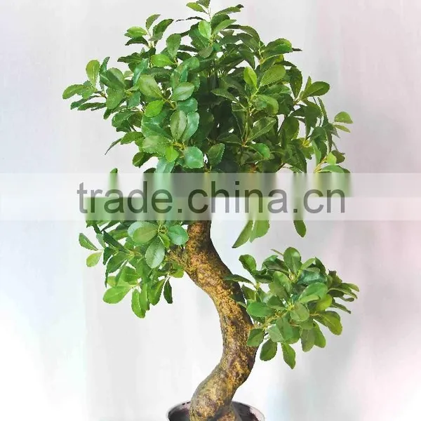 Decorative Pot Trees photo-3