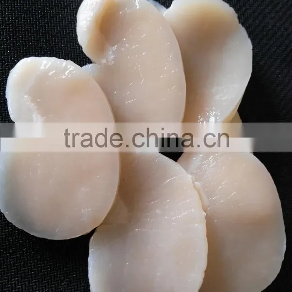Frozen Seafood Sea Scallop New Prodcued for Sale