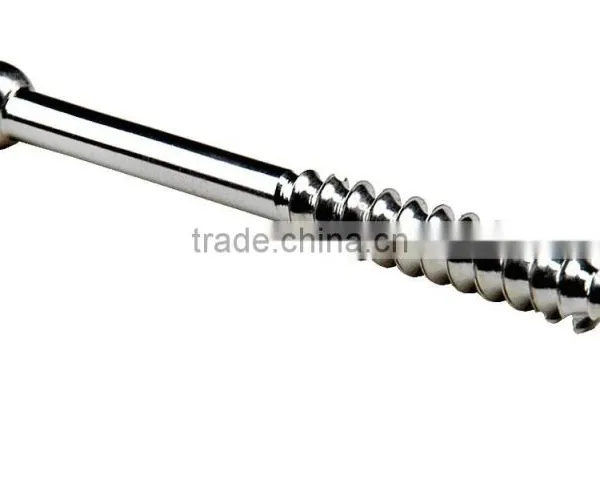 Bone Screws photo-3