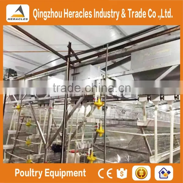 Heracles High Quality Chicken Poultry Farm Equipment/chicken Cages Plans photo-6