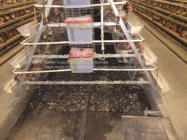 Chicken Cages