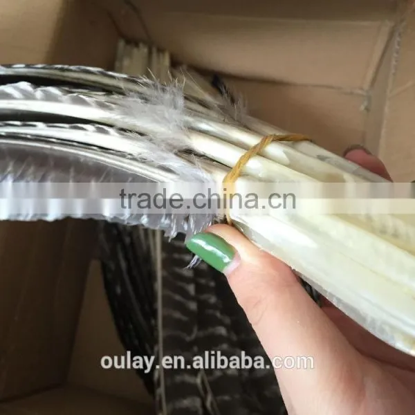 Full Size Colorful Treated Turkey Feathers Striped Feathers photo-4