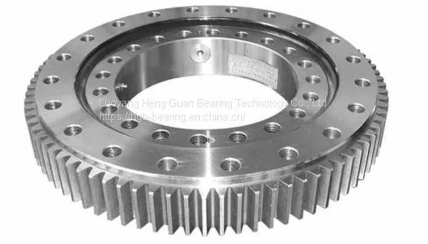Crossed Roller Slewing Bearings With External Gear Teeth RKS.221310101001 photo-2