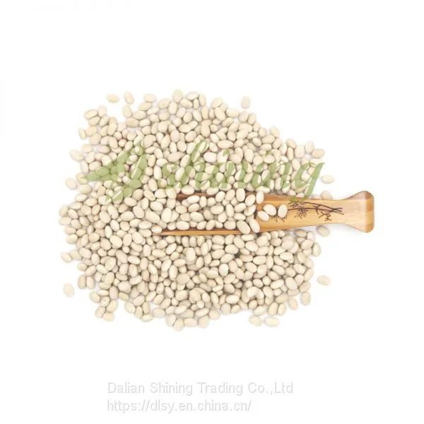 Navy White Beans photo-3
