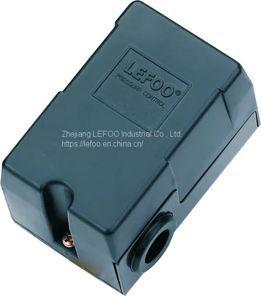 LF10-W Water Pump Pressure Switch photo-2