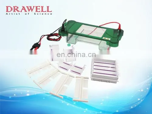 SPCT Universal Lab And Medical Horizontal Electrophoresis Machine photo-6