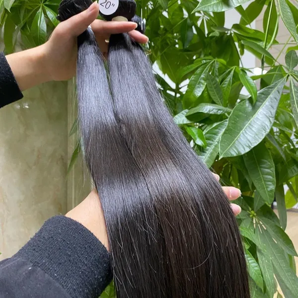 KHH Best Quality Wholesale Price Raw Unprocessed Virgin Indian Hair From India photo-2