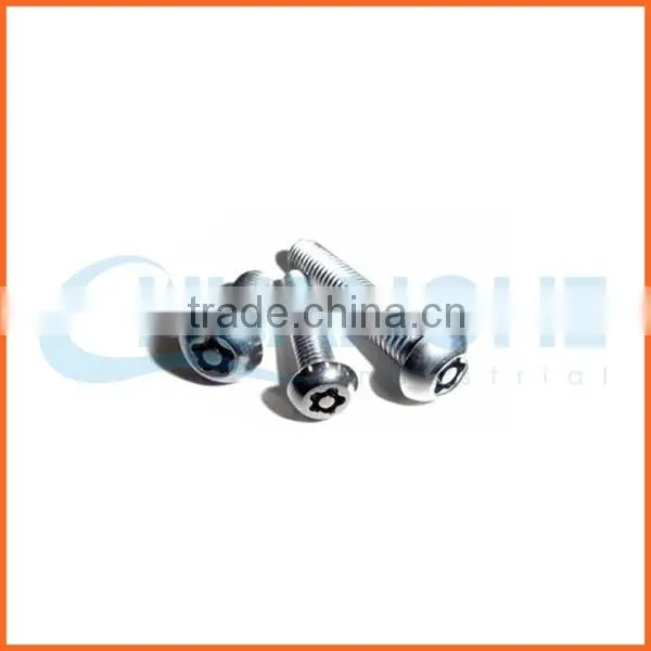China Supplier Cnc Machining Anti-theft Screw photo-6