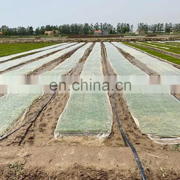 Agricultural Use Rice Seeder in India photo-4